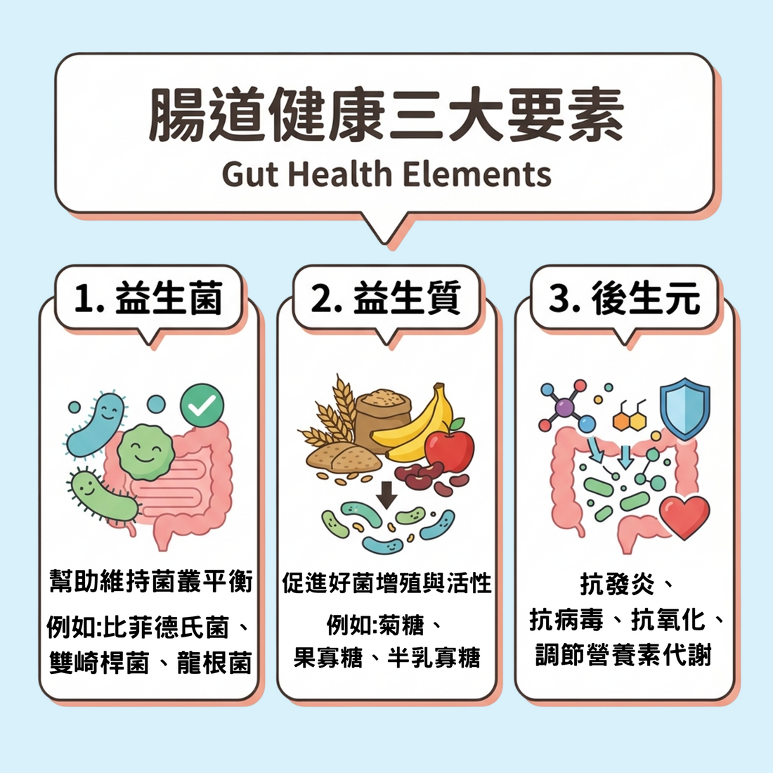 腸道健康三大要素