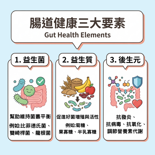 腸道健康三大要素