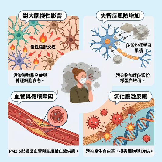 空氣污染的影響
