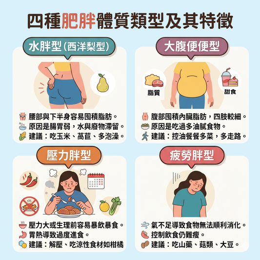 四種肥胖體質類型及其特徵