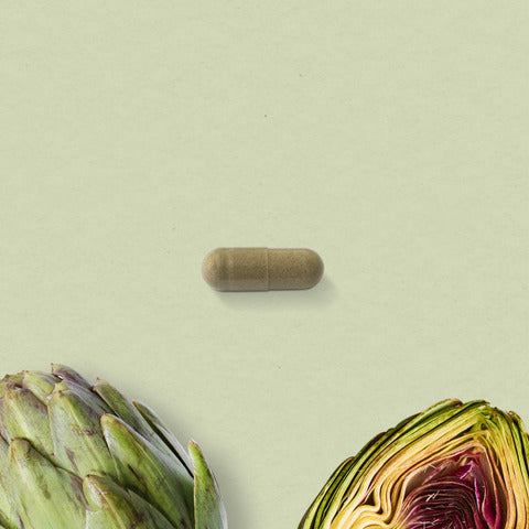 【辛苦了】朝鮮薊