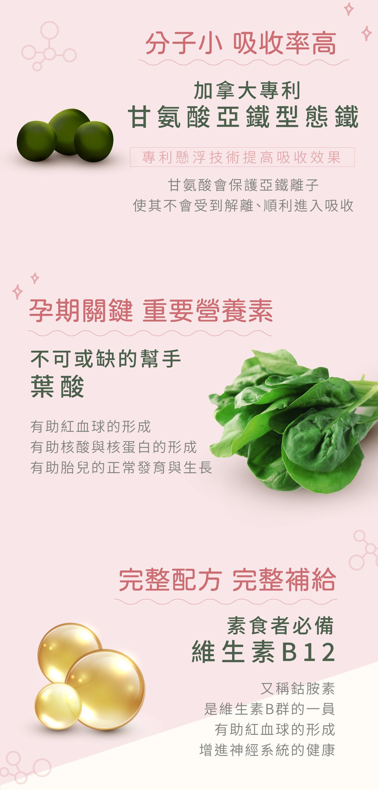 【HP滿滿】綜合鐵葉酸維生素B12
