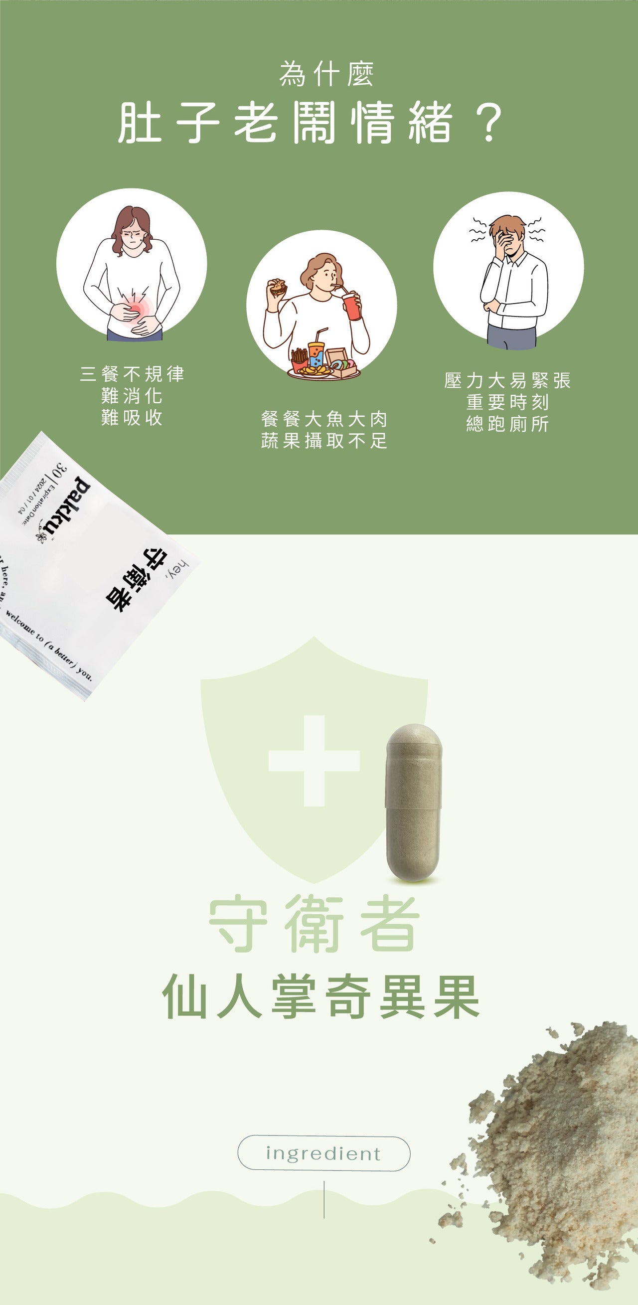 【守衛者】仙人掌奇異果
