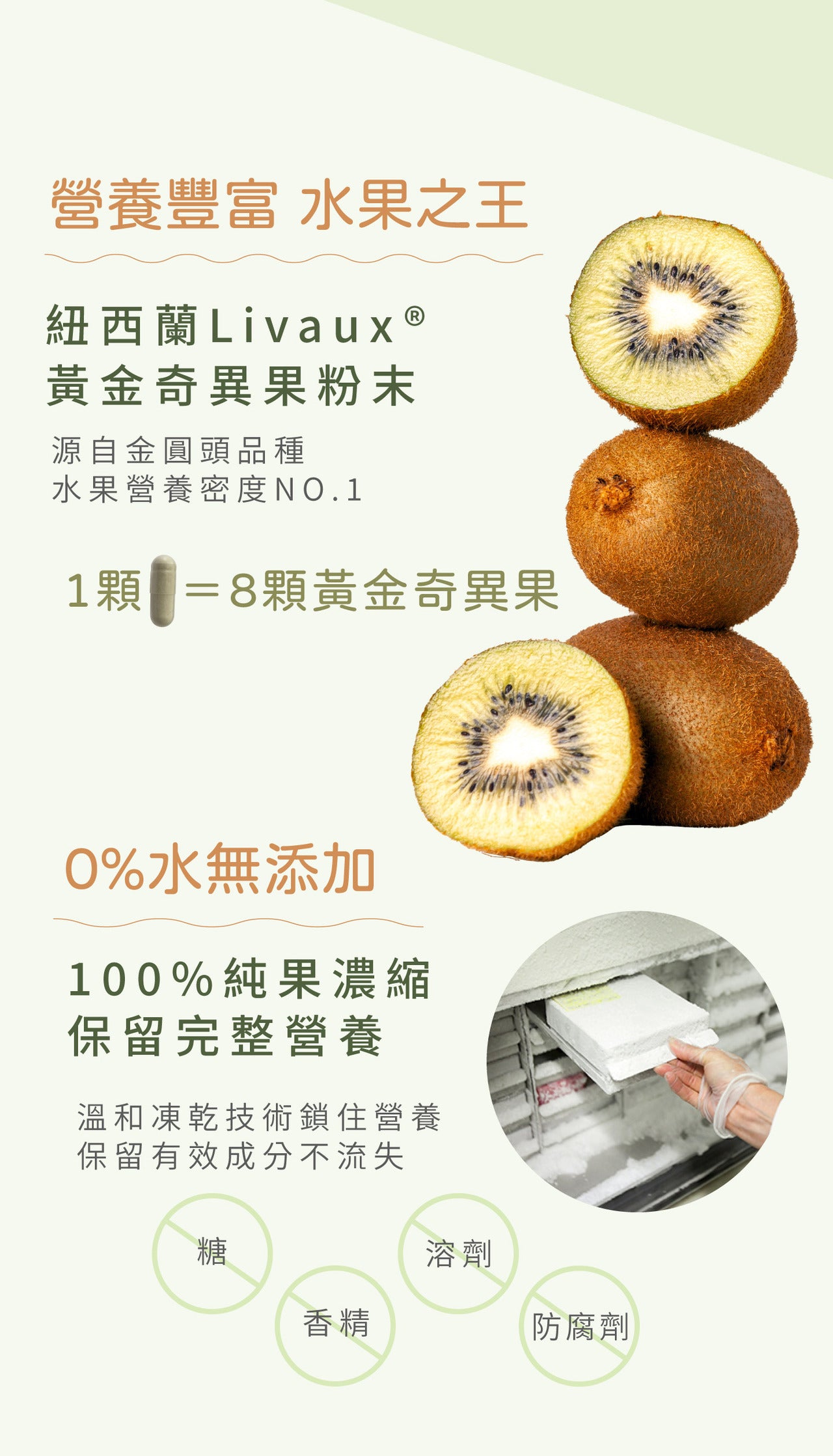【守衛者】仙人掌奇異果