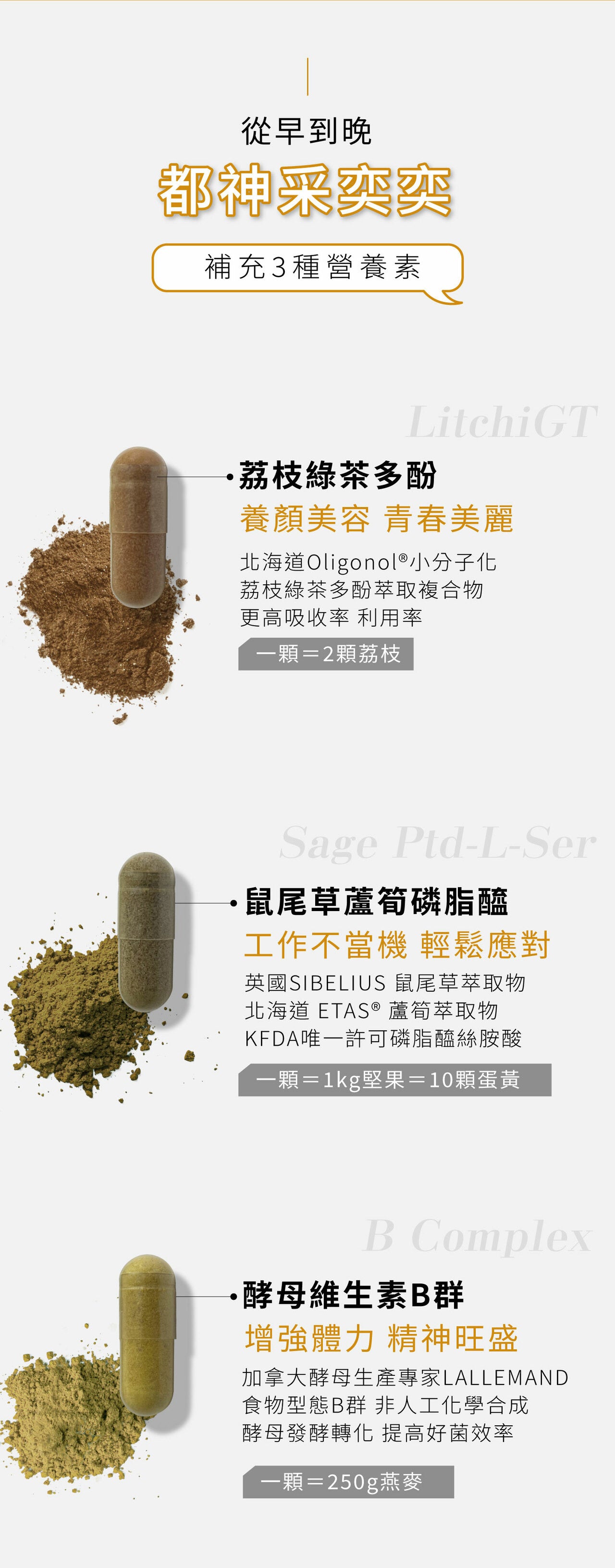 精神滿滿組合【工作不當機】