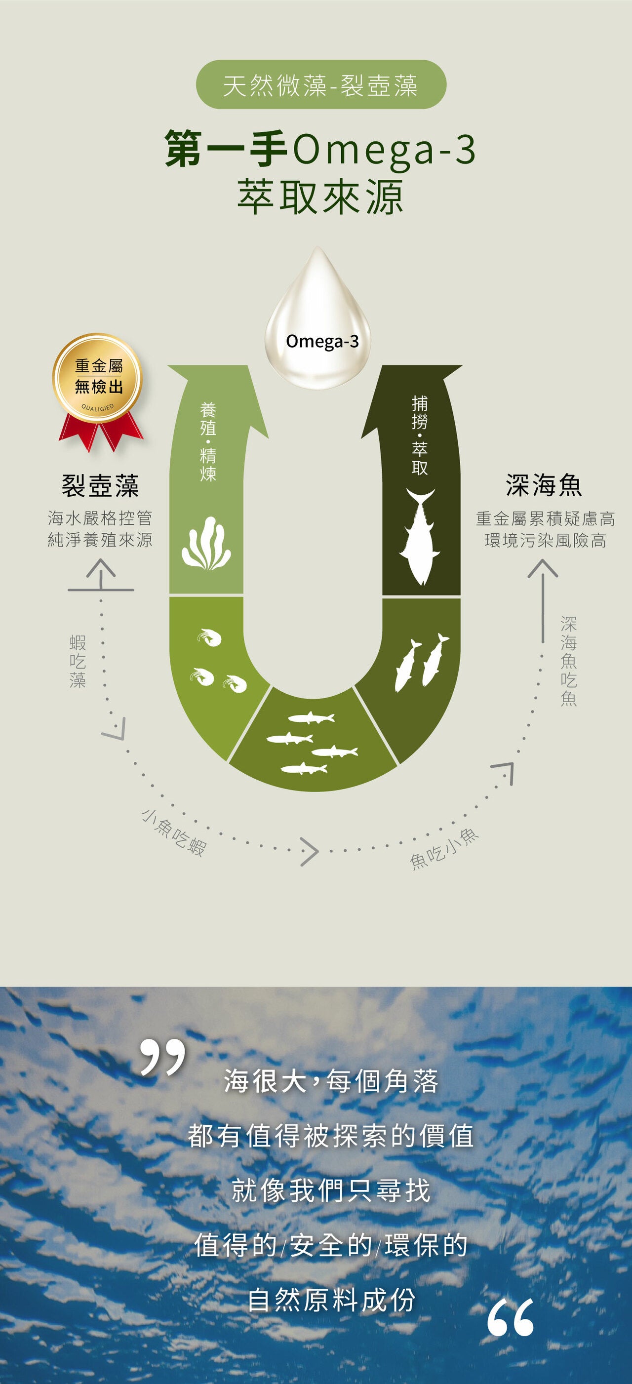 【Hold住健康】omega-3 藻油